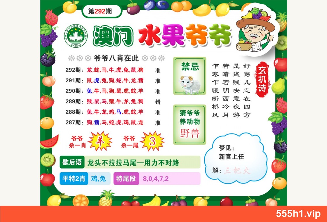 彩色图纸 · 水果爷爷，标注555h1.vip
